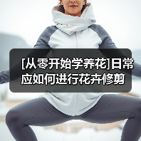 [从零开始学养花]日常应如何进行花卉修剪