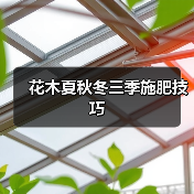 花木夏秋冬三季施肥技巧（图4）