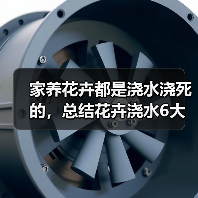 家养花卉都是浇水浇死的，总结花卉浇水6大要点方法（图3）