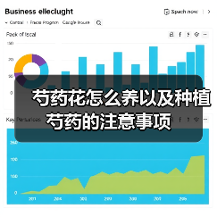 芍药花怎么养以及种植芍药的注意事项（图4）