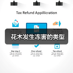 花木发生冻害的类型