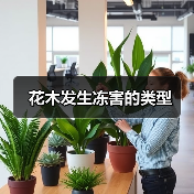 花木发生冻害的类型（图2）