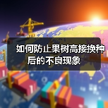 如何防止果树高接换种后的不良现象（图4）