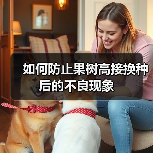 如何防止果树高接换种后的不良现象（图2）