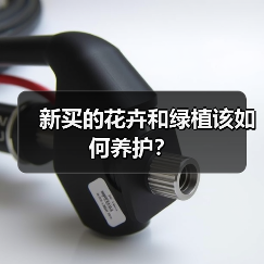 新买的花卉和绿植该如何养护？