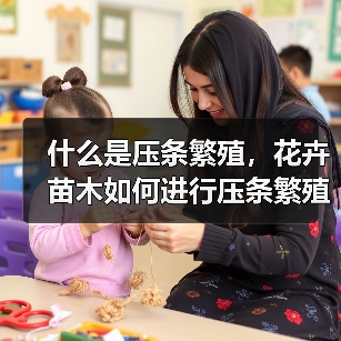 什么是压条繁殖，花卉苗木如何进行压条繁殖（图4）
