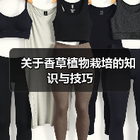 关于香草植物栽培的知识与技巧（图3）