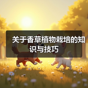 关于香草植物栽培的知识与技巧