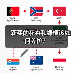 新买的花卉和绿植该如何养护？（图3）