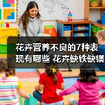 花卉营养不良的7种表现有哪些 花卉缺铁缺镁