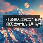 什么是无土栽培？花卉的无土栽培方法和技术有哪些？（图2）