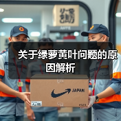 关于绿萝黄叶问题的原因解析