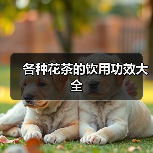 各种花茶的饮用功效大全（图4）