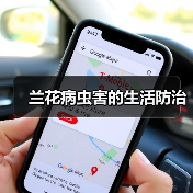 兰花病虫害的生活防治（图2）