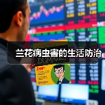 兰花病虫害的生活防治（图4）