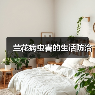 兰花病虫害的生活防治（图3）