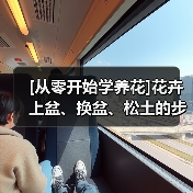 [从零开始学养花]花卉上盆、换盆、松土的步骤和方法（图2）