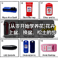 [从零开始学养花]花卉上盆、换盆、松土的步骤和方法（图4）