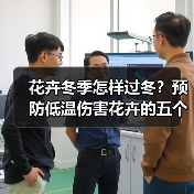 花卉冬季怎样过冬？预防低温伤害花卉的五个方面（图3）