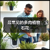 最常见的多肉植物：宝石花（图4）