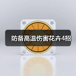 防备高温伤害花卉4招（图4）