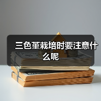 三色堇栽培时要注意什么呢（图3）