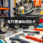 毛竹苗圃栽培技术（图2）