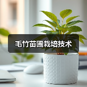 毛竹苗圃栽培技术（图4）