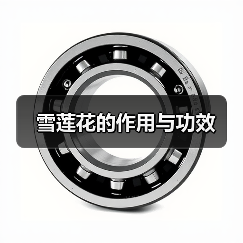 雪莲花的作用与功效（图2）