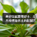 养好花就要用好土，花卉绿植培养土的配制方法和注意事项（图4）