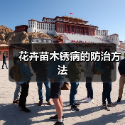 花卉苗木锈病的防治方法