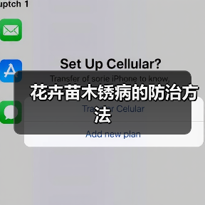 花卉苗木锈病的防治方法（图3）