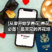 [从零开始学养花]养花必备！最常见的养花培养土以及制作方法