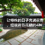 让特殊的日子充满花香，细说调节花期的4种方法（图2）