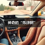 神奇的“炸弹树”（图4）