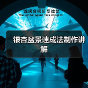 银杏盆景速成法制作讲解（图2）