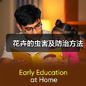 花卉的虫害及防治方法(图3) 花卉的虫害及防治方法(图3)