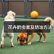 花卉的虫害及防治方法(图4) 花卉的虫害及防治方法(图4)