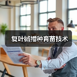 复叶槭播种育苗技术（图4）
