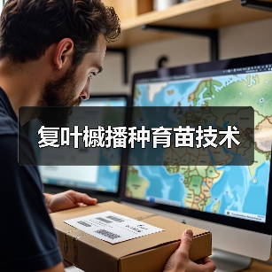 复叶槭播种育苗技术（图3）