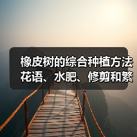 橡皮树的综合种植方法 花语、水肥、修剪和繁殖（图2）