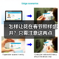 怎样让花在春节照样盛开？只需注意这两点