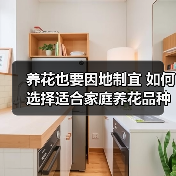 养花也要因地制宜 如何选择适合家庭养花品种（图4）