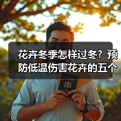 花卉冬季怎样过冬？预防低温伤害花卉的五个方面（图2）
