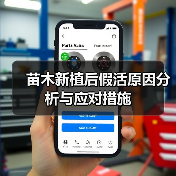 苗木新植后假活原因分析与应对措施