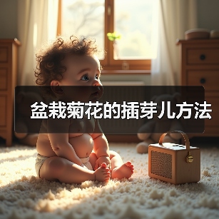 盆栽菊花的插芽儿方法（图3）