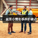 盆景小菊冬季养护要点