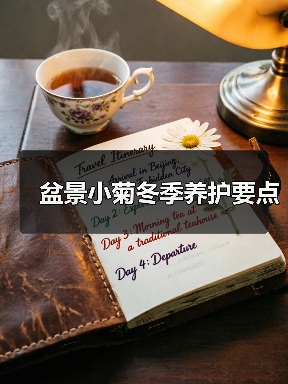 盆景小菊冬季养护要点（图3）