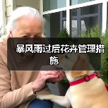 暴风雨过后花卉管理措施（图2）