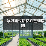 暴风雨过后花卉管理措施（图3）